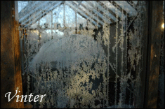 Vinter