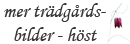 Mer trädgård - höst