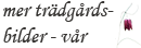 Mer tr&auml;dg&aring;rd