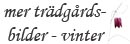 Tillbaka tilltr&auml;dg&aring;rd