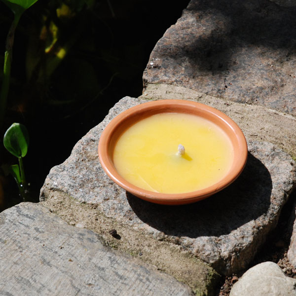 Myggljus (citronella) Myggljus (citronella)